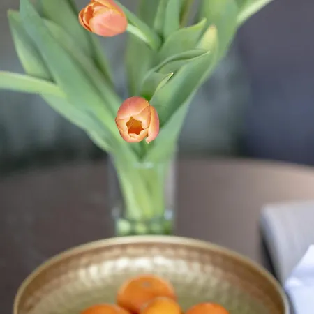 Apartment Perfekt Creamy 5 Dziwnow